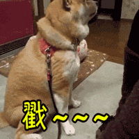 卖萌 戳