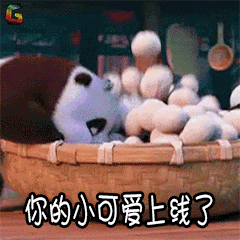 功夫熊猫 熊猫 你的小可爱上线了 soogif soogif出品