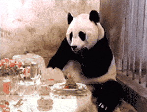熊猫 账单 付钱 震惊 搞笑 动物