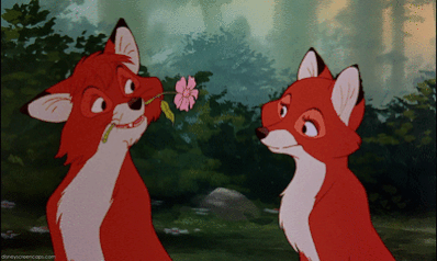 狐狸和猎犬 罗宾汉 狐狸 狐狸和孩子 了不起的狐狸爸爸 foxkin 狐狸的 迪斯尼的罗宾汉 红狐狸
