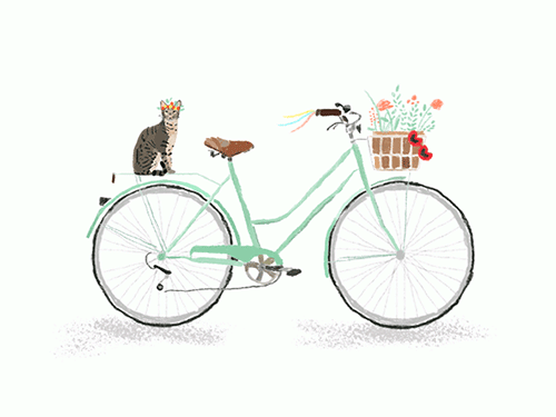 单车 旋转 猫咪 唯美