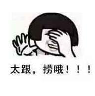 熊猫头 文字表情包 太跟捞哦 搞怪 魔性 沙雕