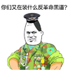 暴漫 搞笑 雷人 斗图 你们又在装什么反革命黑逼