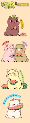 动物 可爱 萌 美丽