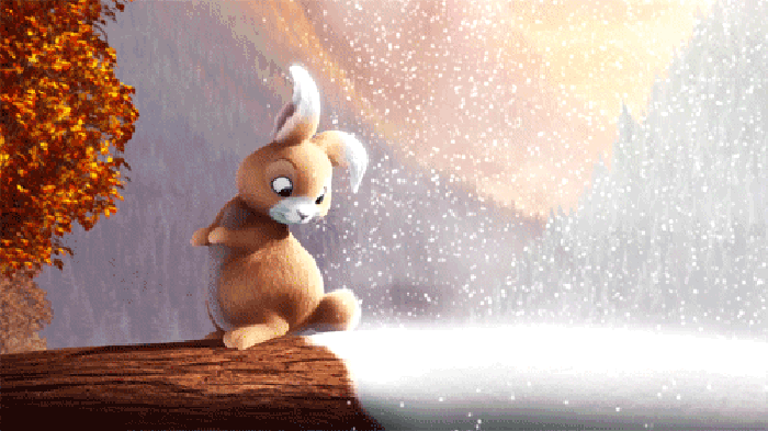 兔子 白屁股 可爱 下雪