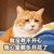 我没有不开心我心里都乐开了花  猫咪  沮丧  搞笑  表情包