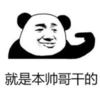 暴漫 文字表情包 就是本帅哥干的 搞笑 逗 沙雕