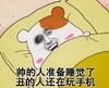 金馆长 夜晚 可爱 帅的人准备睡觉了丑的人还在玩手机