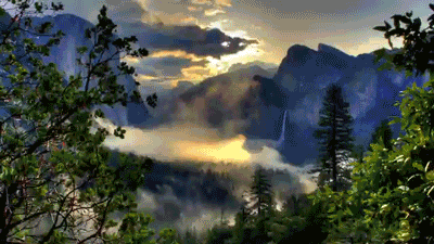 森林 树木 高山 云雾缭绕 变化莫测 蓝天 白云 自然 forest