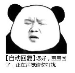 暴漫 熊猫头 你好宝宝困了 自动回复 搞怪 沙雕