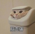 猫咪 喵星人 脑壳痛 可爱 搞笑 淘气 垃圾桶