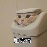 猫咪 喵星人 脑壳痛 可爱 搞笑 淘气 垃圾桶