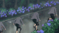 树林 鲜花 下雨 人群