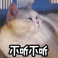 萌宠 猫星人 不听不听 生气 呆萌 可爱