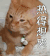 高温 热得 想哭 哭哭