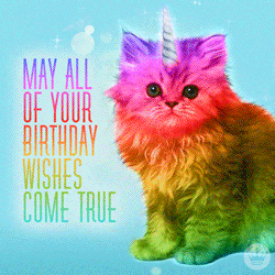 生日 生日快乐 猫 祝你所有的生日愿望成真 奇怪