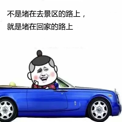 金馆长 开车 不是堵在 去风景的路上 就是堵在 回家的路上