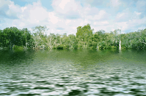 西湖 自然风光 美景 绿色 流水