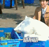 高能少年团 王俊凯