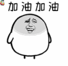 加油加油 啦啦队 欢呼 soogif soogif出品