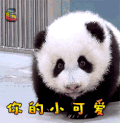 大熊猫 你的小可爱 soogif soogif出品