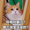 你有对象了 猫咪 歪头 大眼睛 可爱