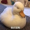 萌宠 鸭子 我好困呀 睡着了 呆萌 可爱
