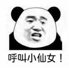 熊猫头 搞笑  斗图 雷人 呼叫小仙女