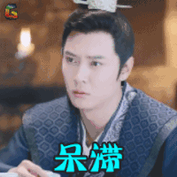 独孤天下 杨坚 张丹峰 呆滞 搞怪 soogif soogif出品