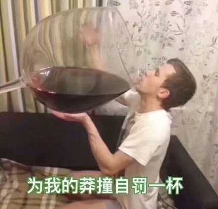 為我的莽撞自罰一杯 搞笑 斗圖 滑稽