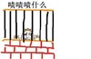 啧啧啧什么 金馆长 栅栏 关起来