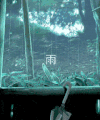 下雨 绿叶 雨伞 大树