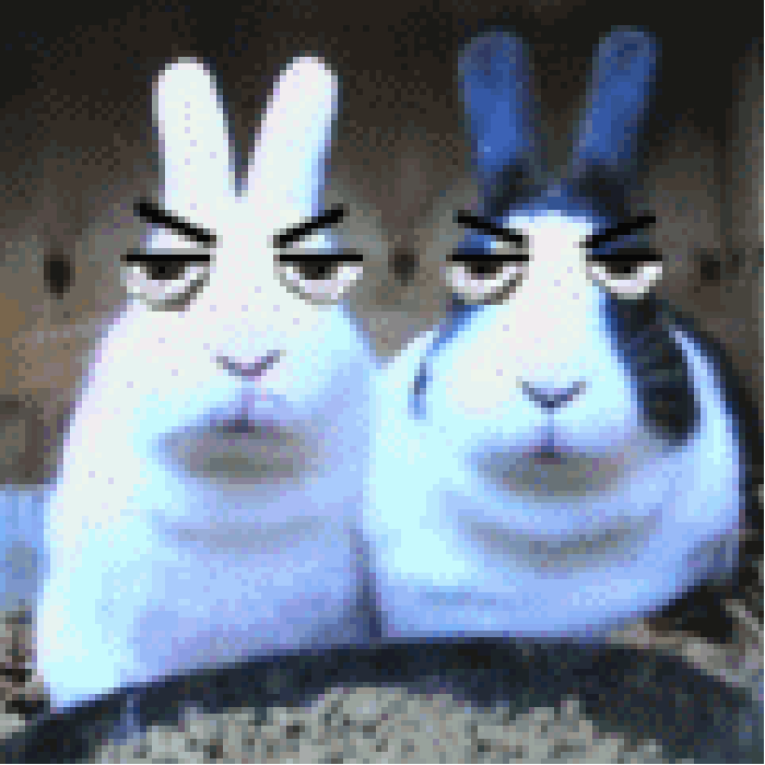 兔子 眼睛 张嘴 吃食
