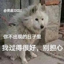迷妹 搞笑 灵超 可爱 文字表情包