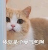 萌宠 猫星人 我就是个受气包呗 无奈 搞怪 逗