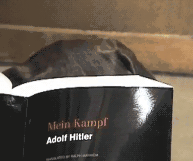 希特勒 狗 书  注视