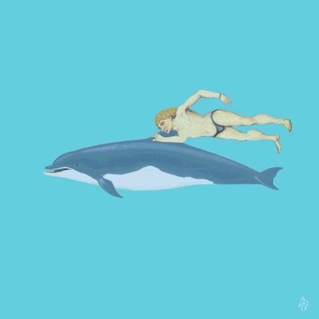 海豚 dolphin 卡通