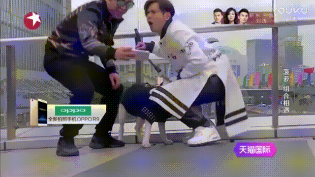 極限挑戰(zhàn) 帥哥 狗狗 可愛