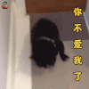 萌宠 狗 你不爱我了 伤心 soogif soogif出品