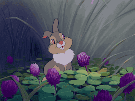 兔子 迪斯尼 小鹿斑比 动画