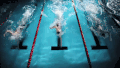 游泳 比赛 swimming sports
