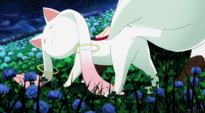 猫 喵星人 萌宠 可爱