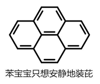 苯宝宝 只想 安静 地装芘