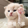 萌宠 猫星人 宝 商量个事 呆萌 可爱