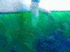王菲 麦田 奔跑 高兴