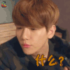 我的邻居是EXO 边伯贤 什么 撩人 soogif soogif出品