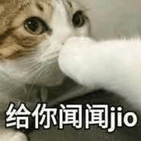 闻闻 jio 猫 可爱 呆萌