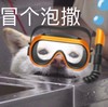 萌宠 汪星人 冒个泡 我来了 呆萌 可爱