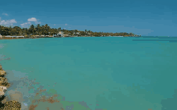 多米尼加共和国 海洋 清澈 纪录片 蓬塔卡纳 蔚蓝 风景