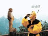 西游记 孙悟空 首长好 别说我认识你